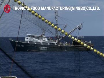 Tropical Food Ningbo Factory Canned Tuna Processing