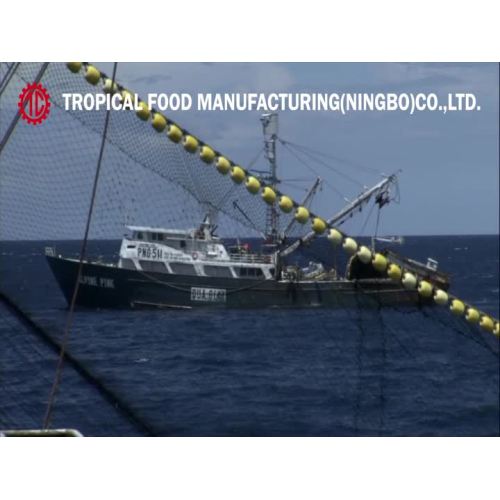 Tropical Food Ningbo Factory Canned Tuna Processing.mp4