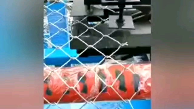 Ogrodzenie łącza łańcucha 6 stóp ogniwa ocynkowane ogniwa 11 miernik PVC powlekany łącznik łańcuchowy 1