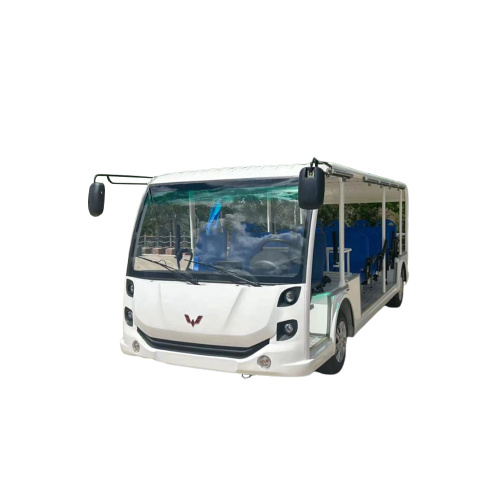 What are the advantages of Sightseeing Bus?