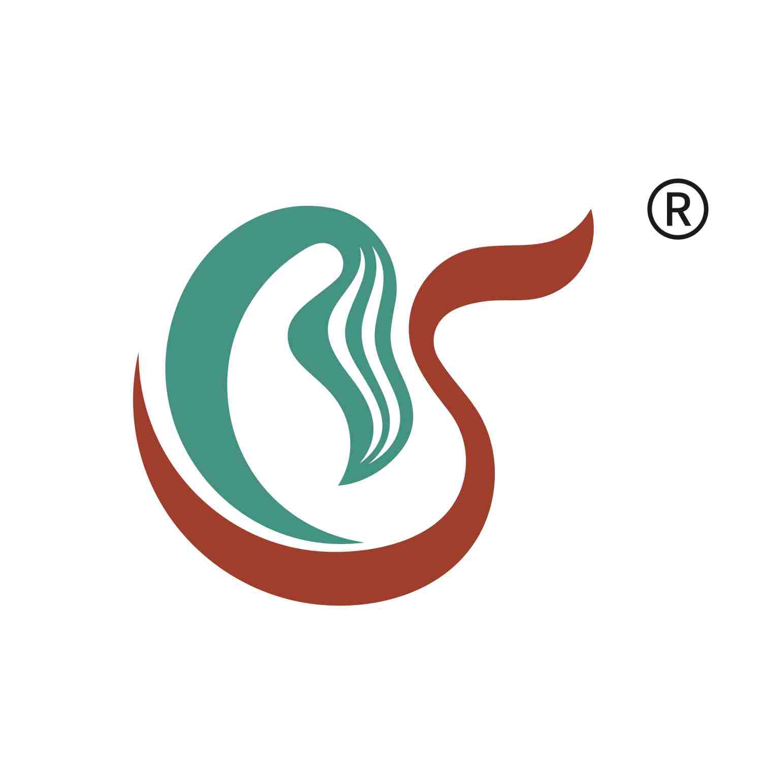Shaanxi Kang New Pharmaceutical co., Ltd.