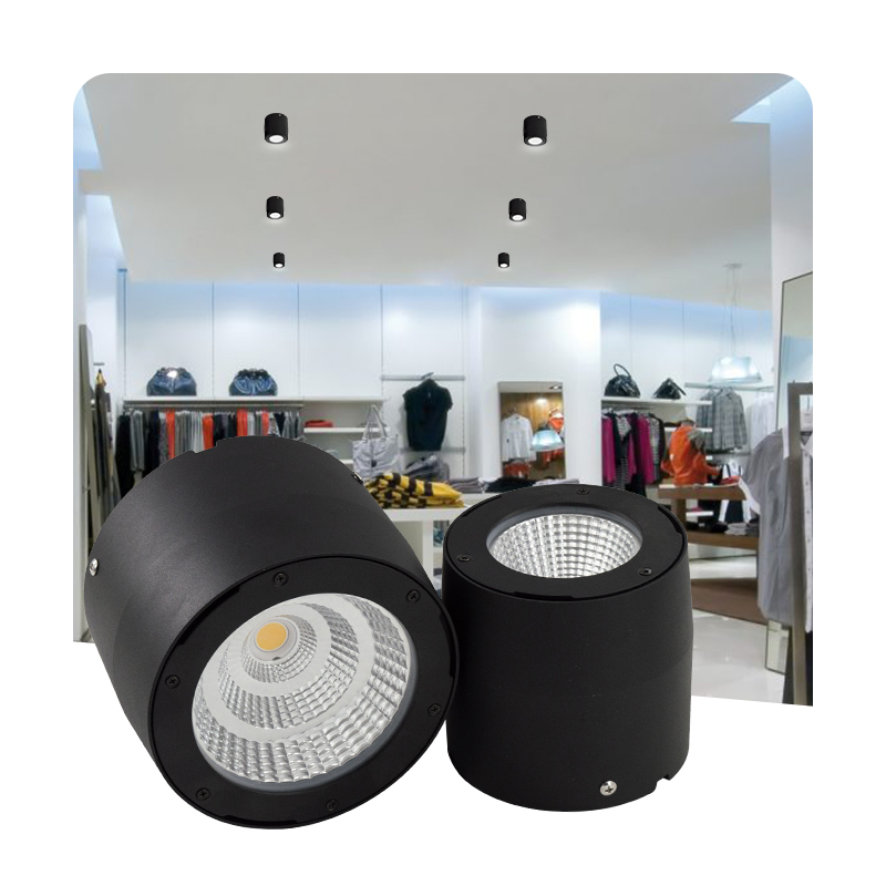 Wasserdichte IP65 Oberflächenmontierte LED Downlogh