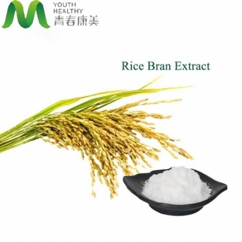 Сравняване на екстракт от оризови трици ферулова киселина с други антиоксиданти