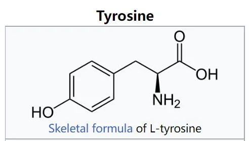 L-Tyrosine L Tyrosine CAS No 60-18-4