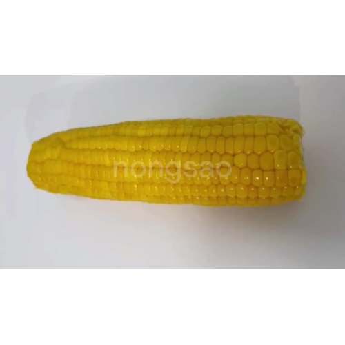 sweet corn video