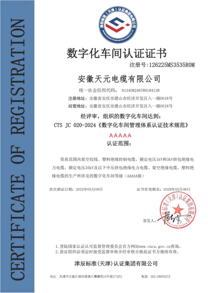 Digital Workshop Certification