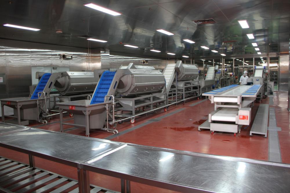 Vegetable Processing Line