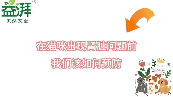 Cómo prevenir la enfermedad renal en los gatos