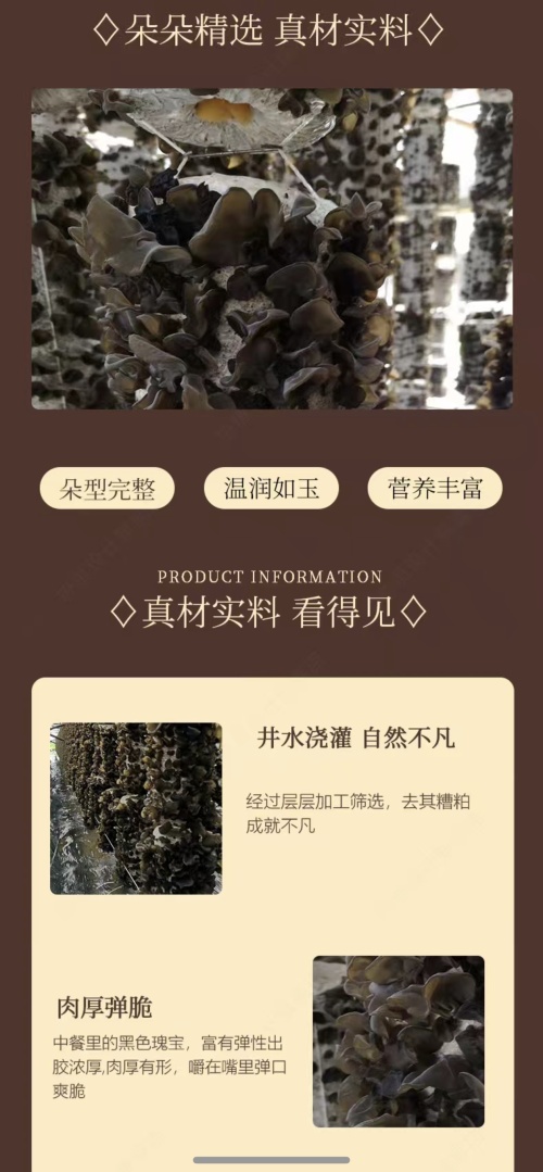 Ξεκινήστε μια επιχείρηση χωρίς φόβο για αποτυχίες, ενώστε τα χέρια με τους ανθρώπους για να κάνετε μαζί μια περιουσία "βακτηρίων"