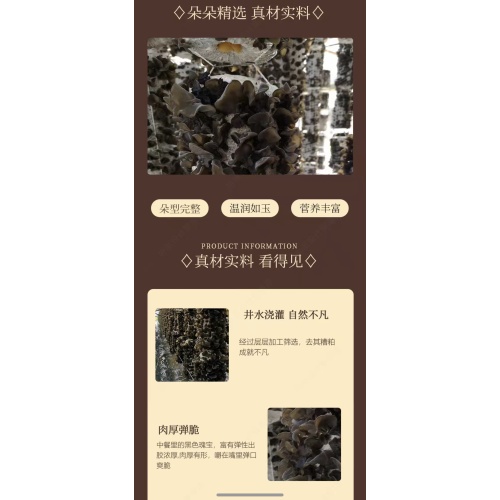 Ξεκινήστε μια επιχείρηση χωρίς φόβο για αποτυχίες, ενώστε τα χέρια με τους ανθρώπους για να κάνετε μαζί μια περιουσία "βακτηρίων"