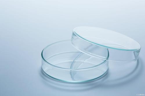 Organic Phytosterols: Top Cholesterol-Support Nutrient & 2030 Global Market Growth Outlook