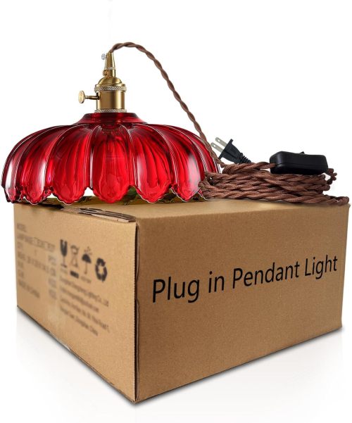 Glass Pendant Lights with Plug – Stylish and Dimmable Indoor Lighting