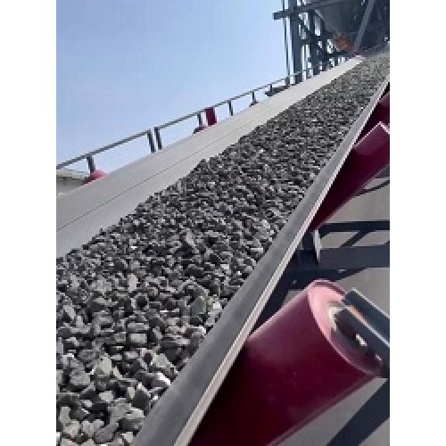 2025 Southeast Asia Manufacturing Conveyor Belt Demand Trends: Key Drivers and Market Insights