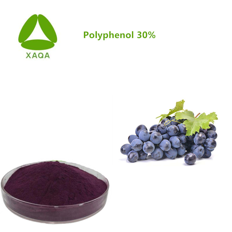 Grape Peel Extract Polyphenol