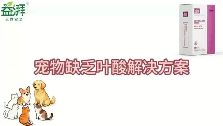 Hongo Reishi con Folato para Mascotas