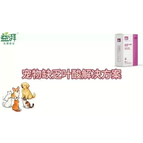 Reishi Mushroom with Folate for Pets