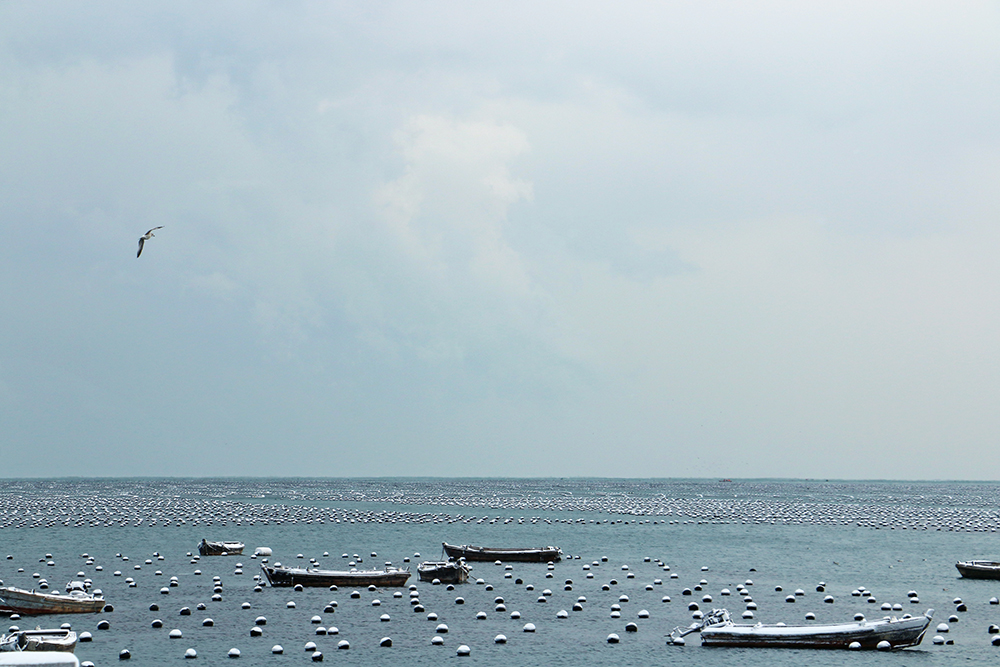 buoy fishing boat