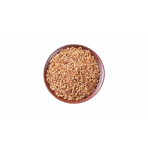 Biota Seed For Herb Use