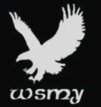 Myriad Success Industry&Trade  CO.,LTD