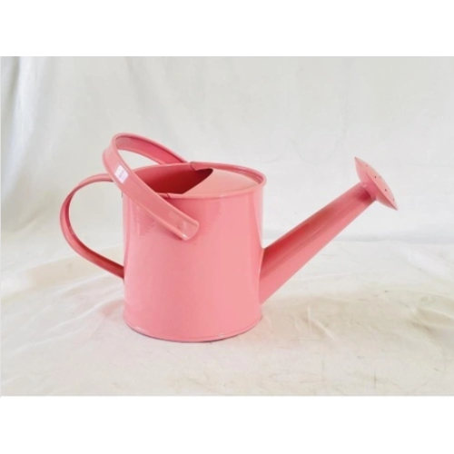 Creative Ways to Decorate a Metal Watering Can