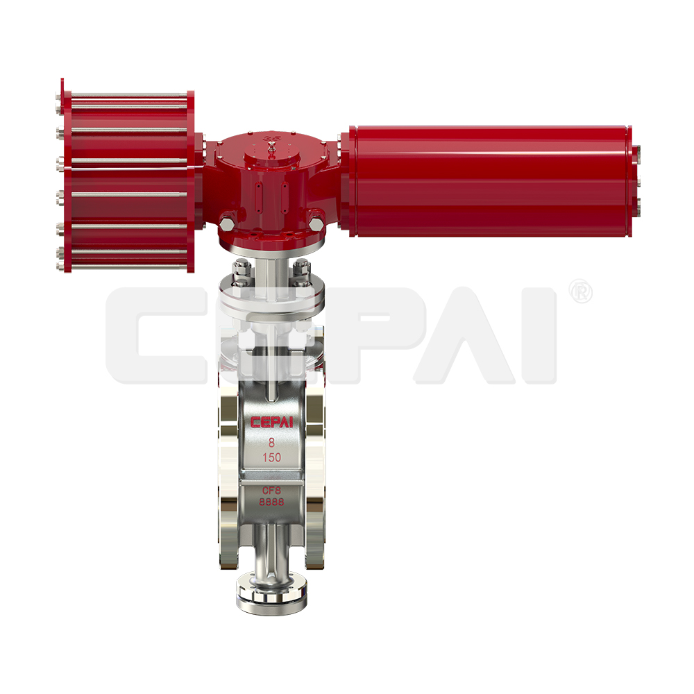 Pneumatic Single Seat Control Valve