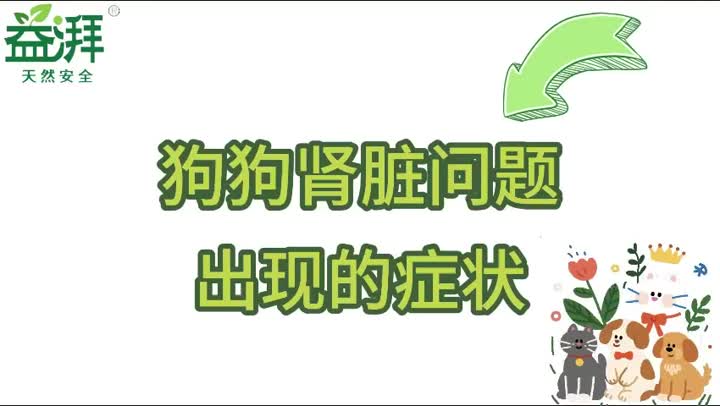 Síntomas de la enfermedad renal canina