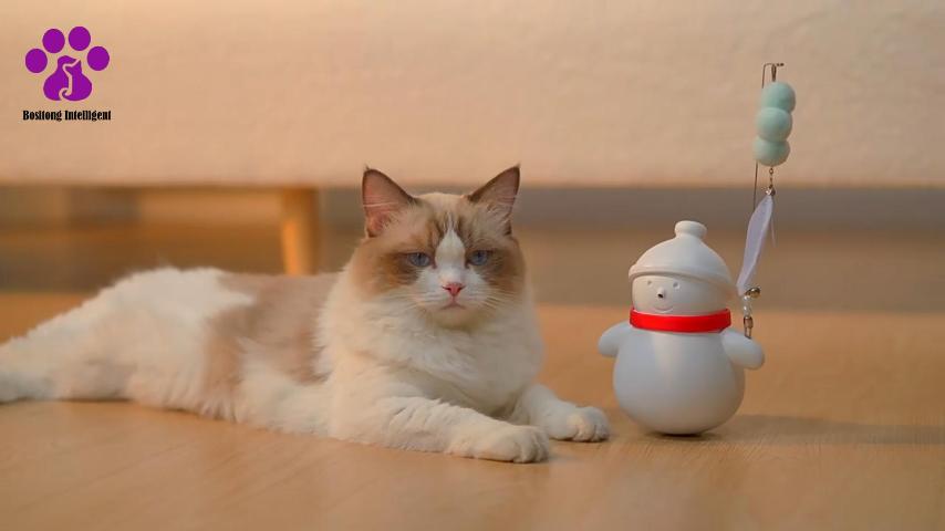 BST-Snowman toy