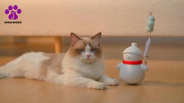 BST-Snowman toy