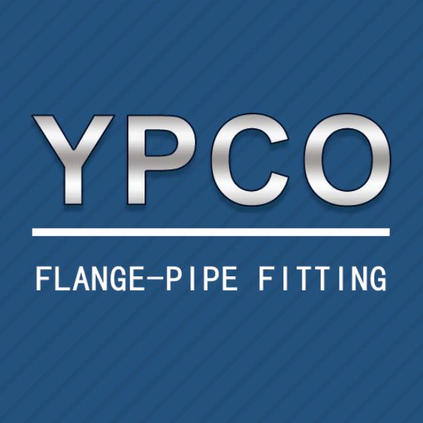 Cangzhou Youlong Pipe Fitting Manufacturing Co., LTD