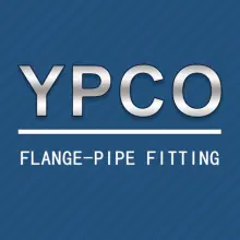 Cangzhou Youlong Pipe Fitting Manufacturing Co., LTD