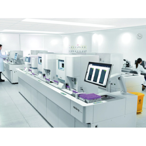 গ্লোবাল স্টিল স্ট্রাকচার ইন্ডাস্ট্রি একটি নতুন যুগে প্রবেশ করেছে: ডিজিটালাইজেশন, প্রিফেব্রিকেশন এবং গ্রিন ডেভেলপমেন্ট লিড গ্রোথ