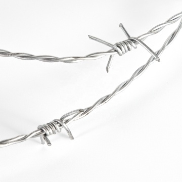 China Top 10 Galvanized Barbed Wire Potential Enterprises