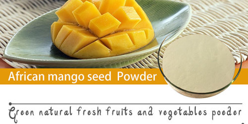 Introduction of African Mango Seed Extract