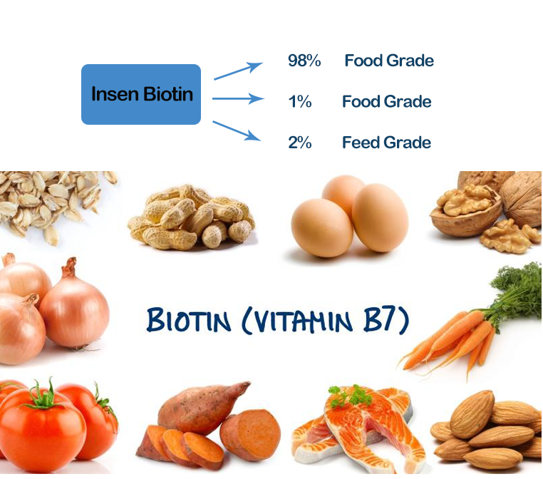 B 7 Inj ไบโอตินวิตามิน B7 ผง คุณภาพสูง ไบโอตินวิตามิน B7 ผง บน bossgoo.com