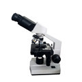 Blood Cell Observation: Utilizing Binocular Laboratory Microscopes (Model B105)1