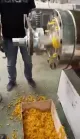 Machine di creazione di spaghetti automatici industriali/macaroni