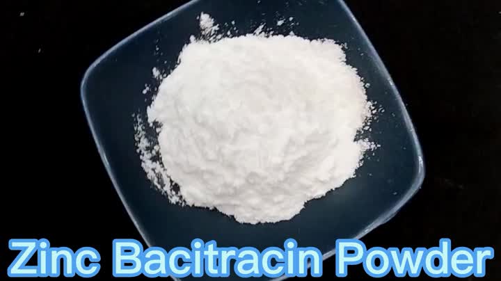 Polvo de bacitracina de zinc