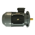 1.5kW 3 Phase Asynchronous AC Induction Electric Motor YX3-90L-41