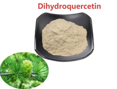 Индустриализация природного антиоксидантного дигидрокеерцетина: от лаборатории до мирового рынка