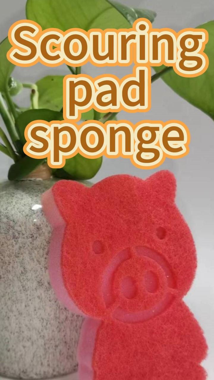 Kitchen Cleaning Sponge