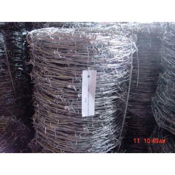 Top 10 Most Popular Chinese Barbed Wire Brands