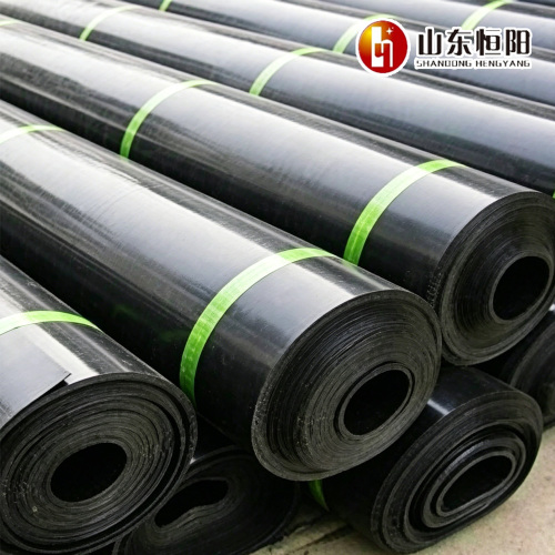 Shandong Hengyang New Materials Co., Ltd. ظرفیت تولید را برای مواد ژئوسنتتیک مهندسی عمران با کیفیت بالا بهینه می کند