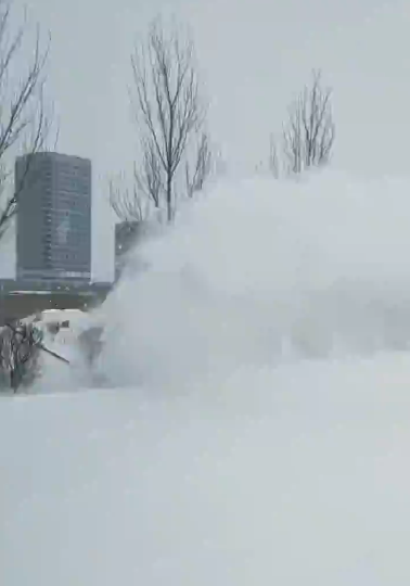 Kleine Schneewurfmaschine