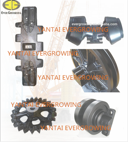 Yantai Evergrowing Import And Export Co.,Ltd.