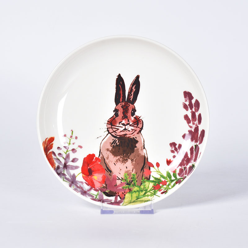 Amazon Easter Bunny Theme Set di piatti per animali carini Stoviglie da tavola in ceramica per bambini bianchi