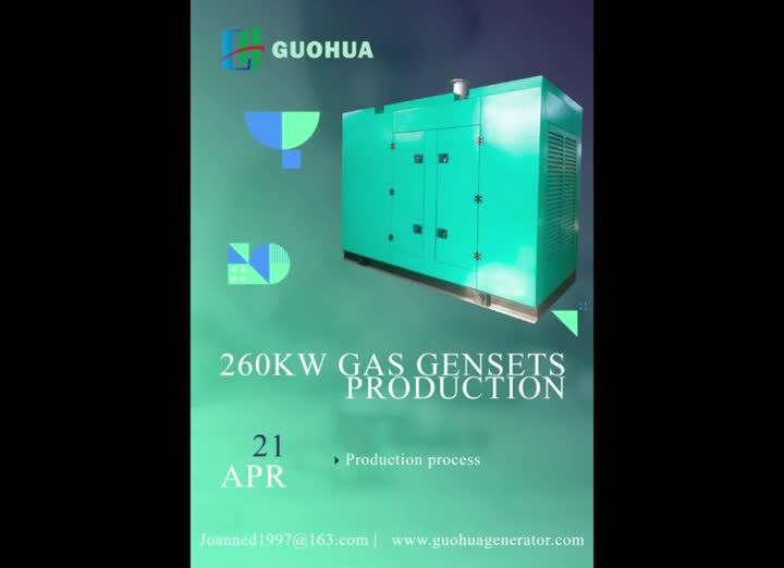 260 кВт газ Genset