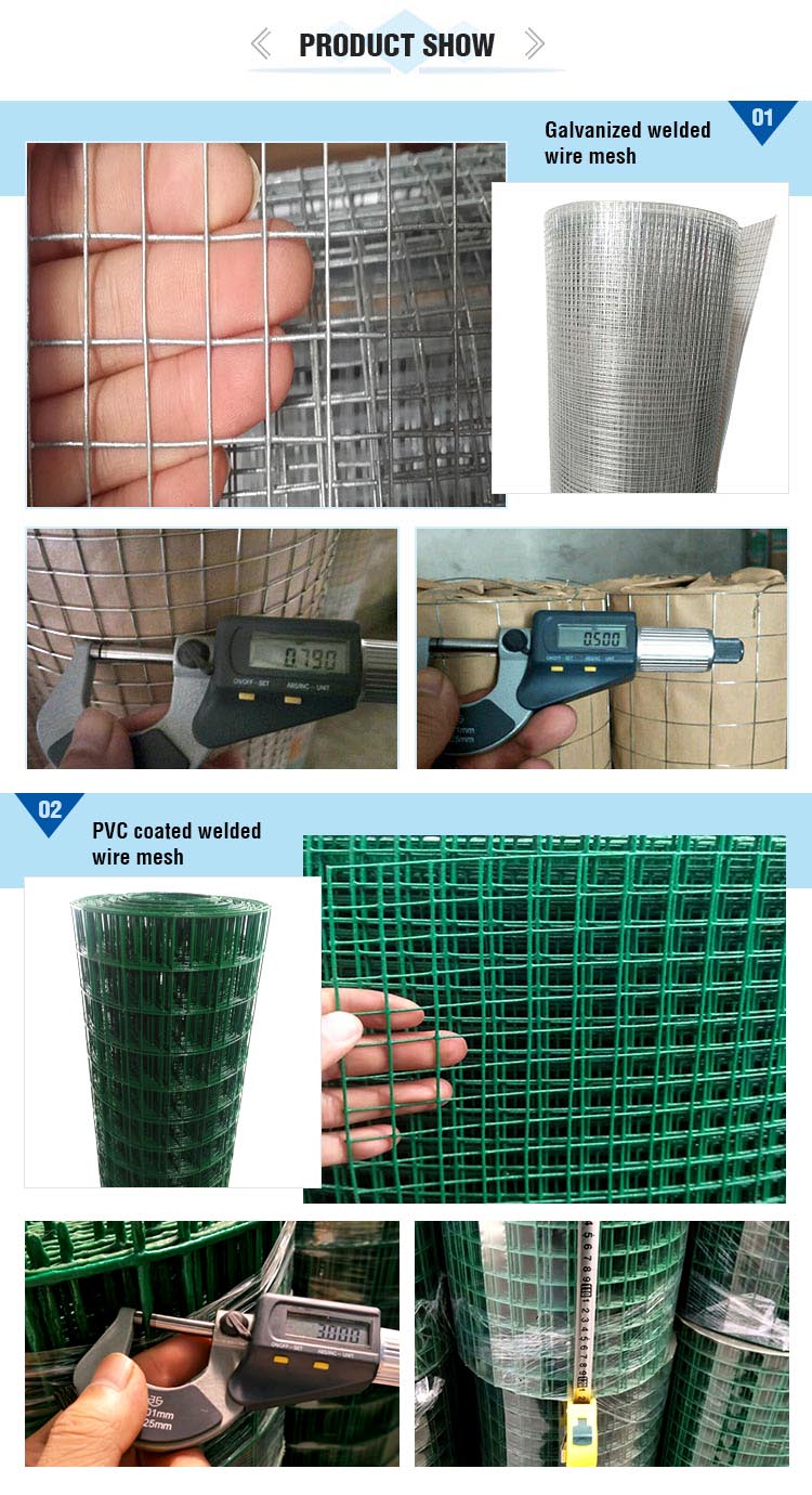 Wholesale galvanized welded wire mesh panel for bird cages