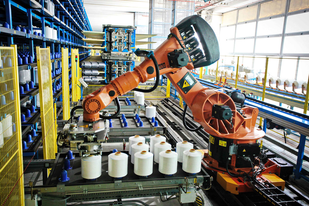 Shandong Desheng Robot Co. LTD