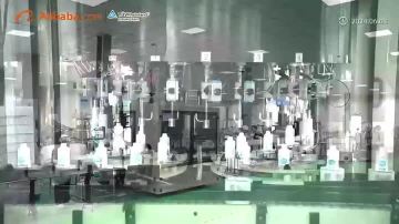 Company Overview