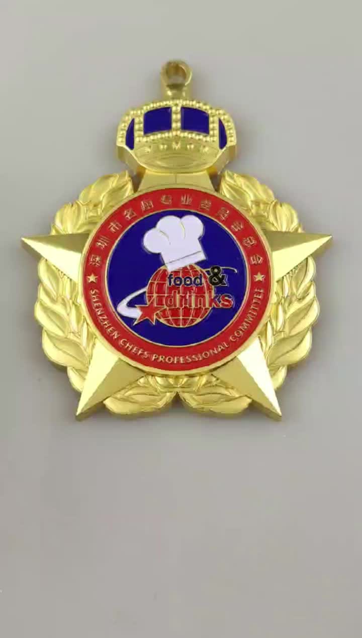 Professional Commitiee Medal 